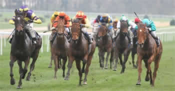 Horses Racing © Juergen Latzke - FOTOLIA